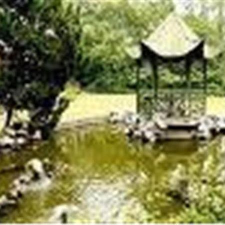 Cypress Hotel Jin Jiang Şanghay Dış mekan fotoğraf